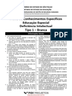 Nsce15 000 Educacao Especial Deficienciaintelectual Tipo 01