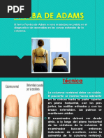 Test de Adams para detectar escoliosis | PDF | Escoliosis ...