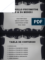 Desarrollo Psicomotor 