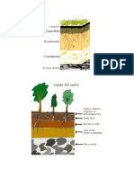 horizontes del suelo.docx