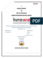 Cost of Capital Report for Infowiz Industries