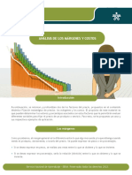 analisis de margenes  y costos.pdf