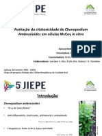 5 JIEPE 2019 Silva Et Al PDF
