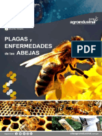 Plagas y Enfermedades de Las Abejas