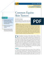 Common Equine Skin Tumors