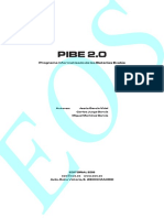 manual_pibe (1).pdf