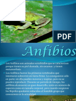 Anfibios-Melany-9D.pptx