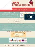 Sistema de Conducción PDF