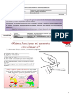 Guia 2 Sistema Circulatorio1 PDF