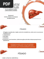 Aula 1 Dietoterapia Nas Doenças Hepáticas