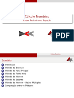 Cálculo Numérico Raízes Reais de Uma Equação