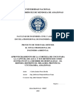 Proyecto de Tesis Carlos Junior Perez Davila