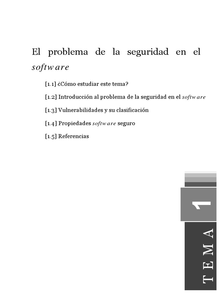 Tema1 Seguridad en El Software | PDF | La seguridad informática | Seguridad