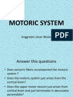 Motoric System: Anggraeni Janar Wulan