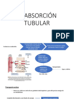 Reabsorción Tubular