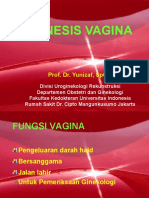 A Genesis Vagina