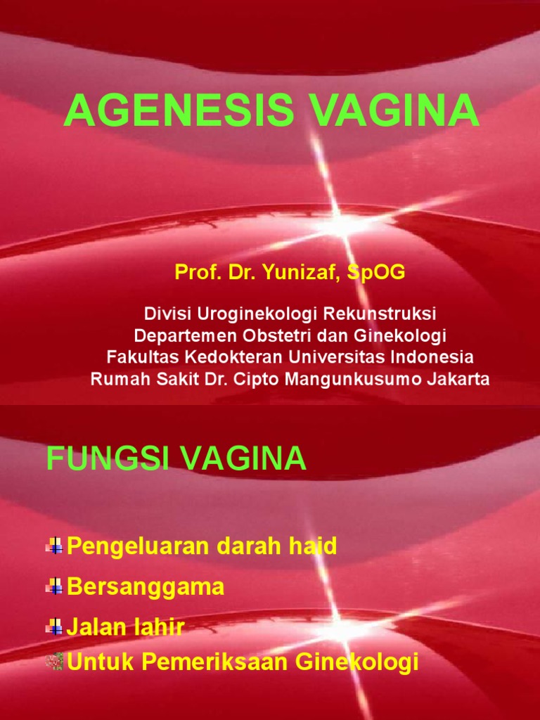 Keksa ayollarning eski vaginalari