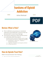 Mechanisms of Opioid Addiction