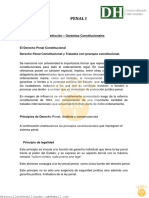 Penal-1-DH.pdf