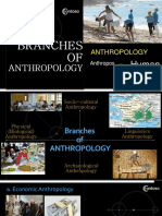 Branches of Anthropology