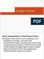 materi-kultur-jaringan-tanaman.ppt