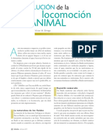 11_evolucion locomocion.pdf