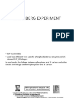 Korenberg Experiment