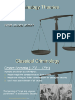 Criminology Theories: What Causes Crime?