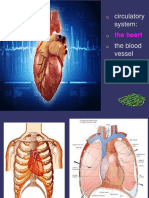 ppt jantung.ppt