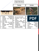 Klasifikasi Aves Ornitologi