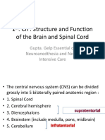 1 - CH: Structure and Function of The Brain and Spinal Cord