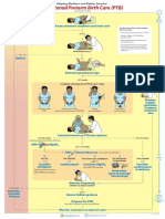PTB Action Plan PDF