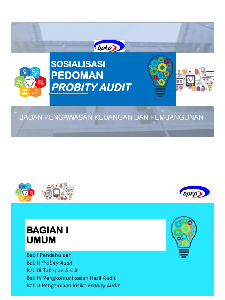 Pedoman Probity Audit untuk APIP | PDF