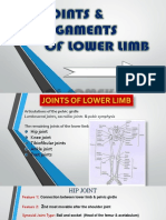 Joints of The Lower Limb