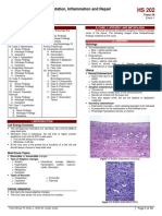 HS 202 3A Cellular Adaptation Injury and Repair Lab Plenary