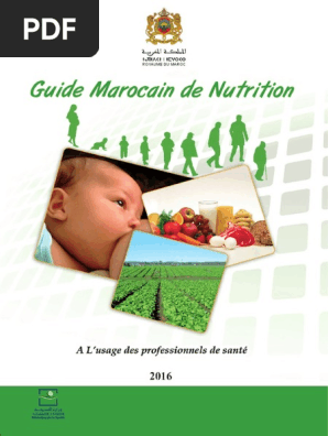 Guide M P Pdf Legumes Allaitement
