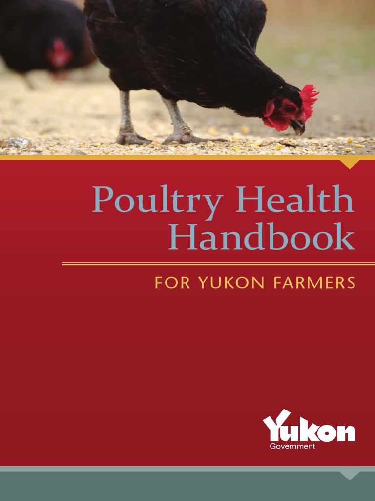 Poultry Health Handbook Final | PDF | Chicken | Poultry