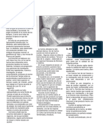 Elaboracion de Brioches y Derivados PDF