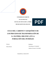 Procesos Geoquimicos para La Formacion Del Petroleo