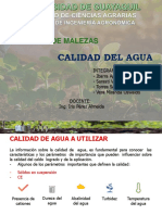 CALIDAD DEL AGUA DE LA MEZCLA.pptx