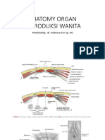 Bimbingan ANATOMY ORGAN REPRODUKSI WANITA.pptx