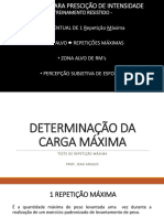 Determinação Da Carga Máxima