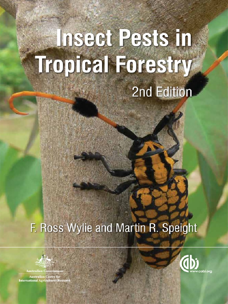 Insect Pest in Tropical Forests | PDF | Forests | Deforestation