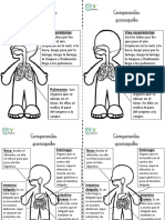 Fichas Respiratorio y Digestivo