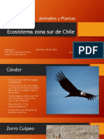 Ecosistema Zona Sur de Chile