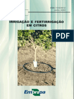 Irrigação e fertirrigação em citros: métodos, necessidades hídricas e manejo