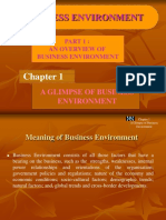 Business Environment Overview