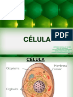 Celula