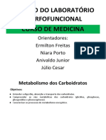 AES 05 01 - Metabolismo dos Carboidratos_Roteiro_Aluno.docx