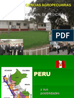 PERU Tutoria